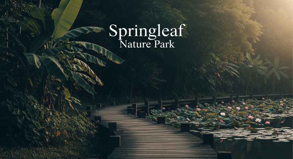 Springleaf Nature Park